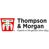 Th Voucher & Promo Codes Th Voucher & Promo Codes