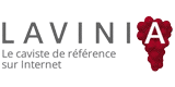 Lavinia Codes de réduction Lavinia Codes de réduction