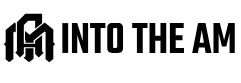 INTO THE AM Coupon Codes